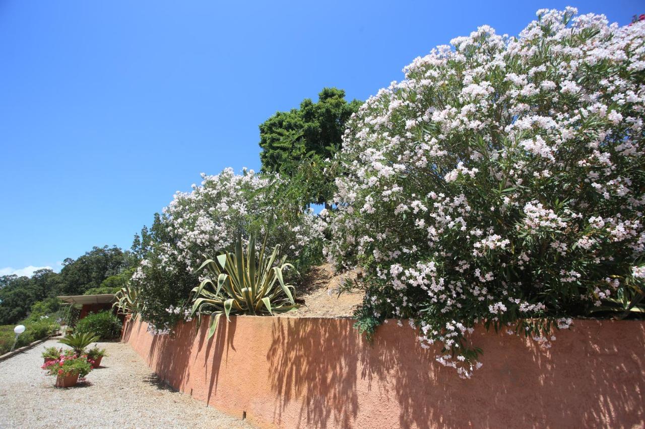 Ca' La Stella Sea-View Apartments Porto Azzurro Extérieur photo